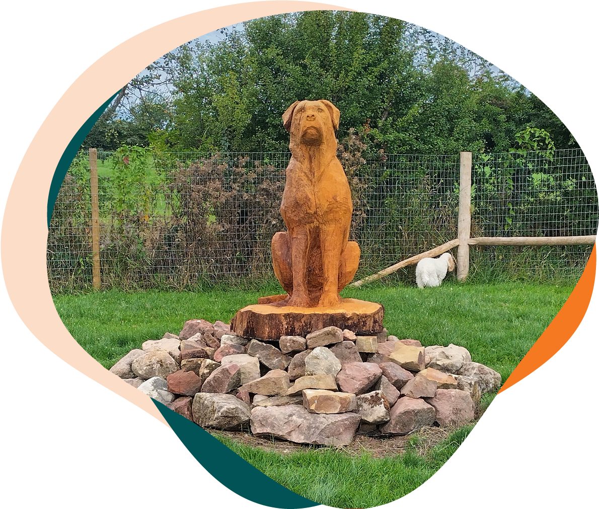 Let Loose Dog Park Secure Dog Run Field Whixall Shropshire